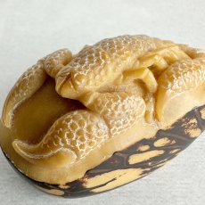 画像10: 置根付　象牙椰子（タグアナッツ）蠍　サソリ (10)