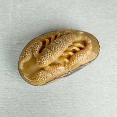 画像7: 置根付　象牙椰子（タグアナッツ）蠍　サソリ (7)