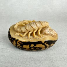 画像6: 置根付　象牙椰子（タグアナッツ）蠍　サソリ (6)