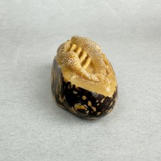 画像5: 置根付　象牙椰子（タグアナッツ）蠍　サソリ (5)