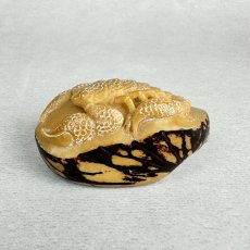 画像4: 置根付　象牙椰子（タグアナッツ）蠍　サソリ (4)