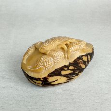 画像2: 置根付　象牙椰子（タグアナッツ）蠍　サソリ (2)