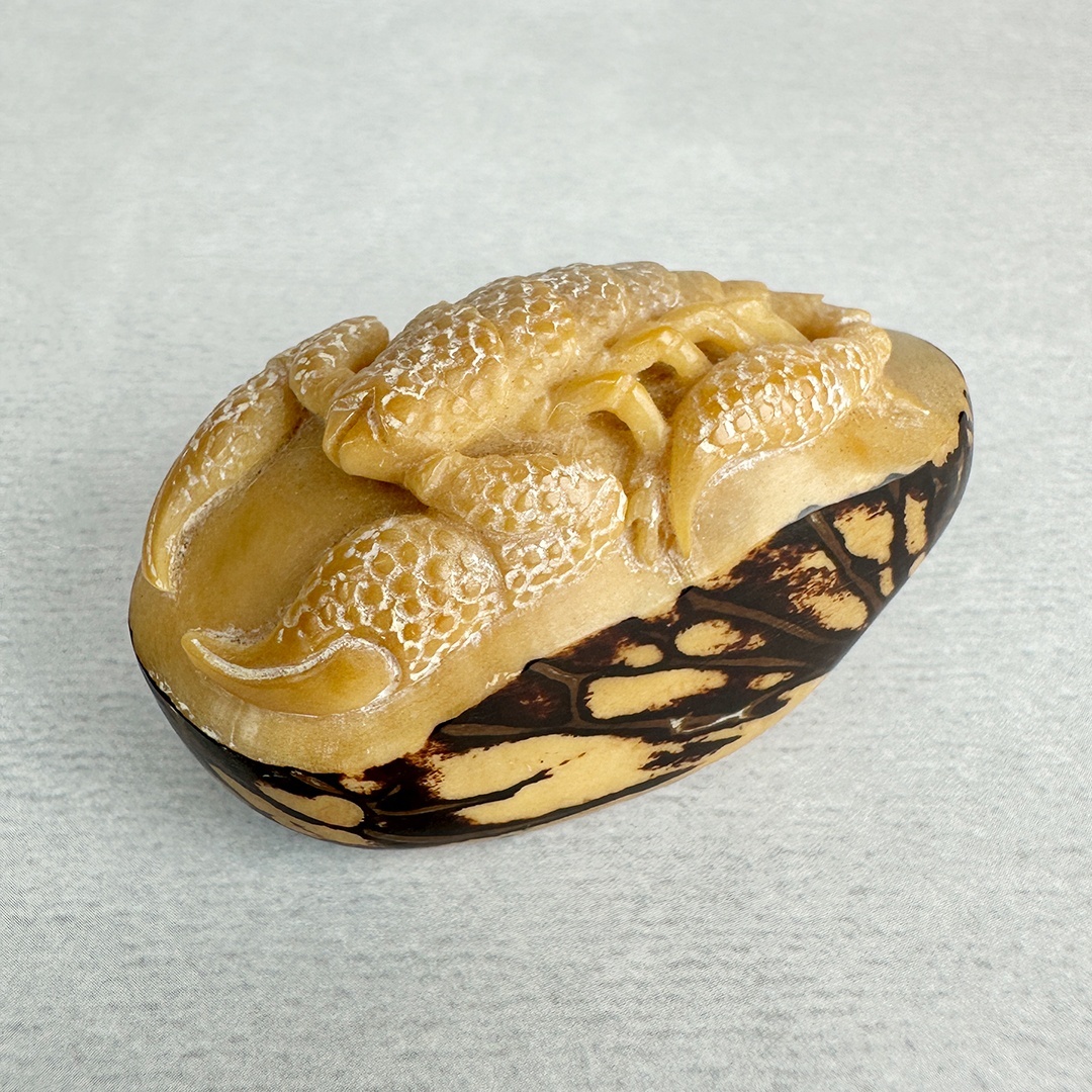 画像1: 置根付　象牙椰子（タグアナッツ）蠍　サソリ (1)